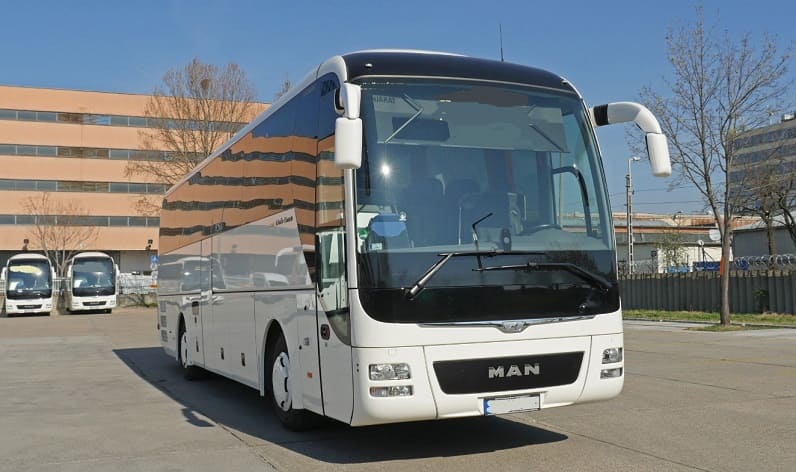 Saxony-Anhalt: Buses operator in Eisleben, Lutherstadt in Eisleben, Lutherstadt and Germany